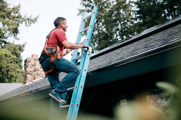 Best Solar Panel Roofing Installation  in Bannockburn, IL