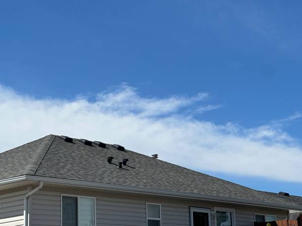 Best Roof Coating and Sealing  in Bannockburn, IL